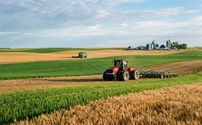 Agribusiness and strategic consulting